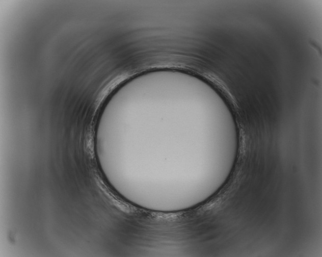 X0000100380882200806060824