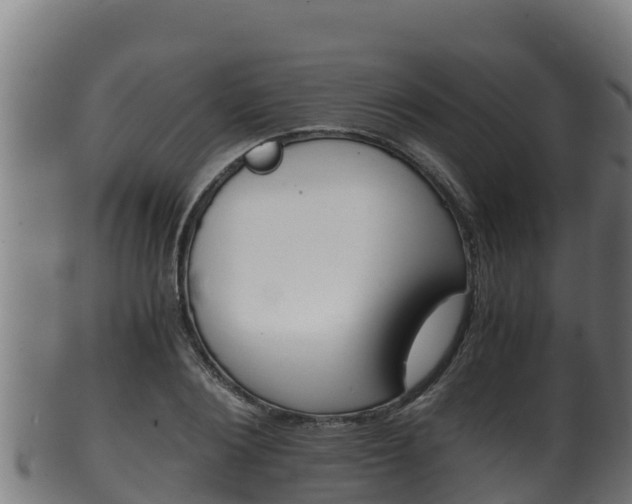 X0000100380884200806060824