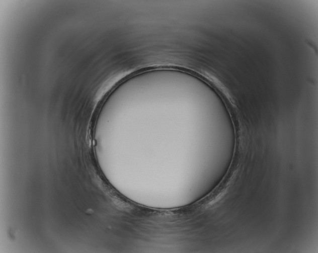 X0000100380885200806060823