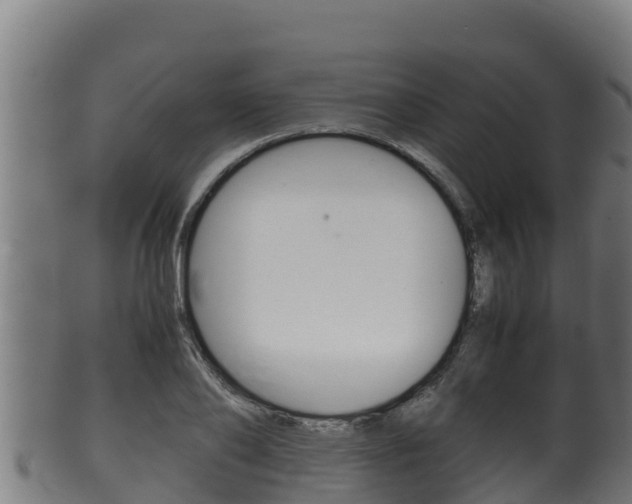 X0000100380886200806060823