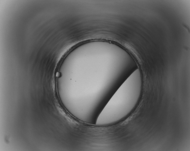 X0000100380888200806060823