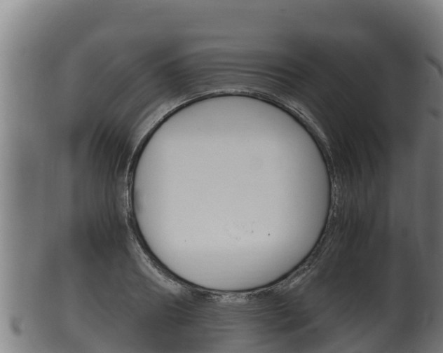 X0000100380890200806060823