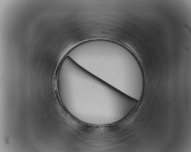 X0000100380891200806060823