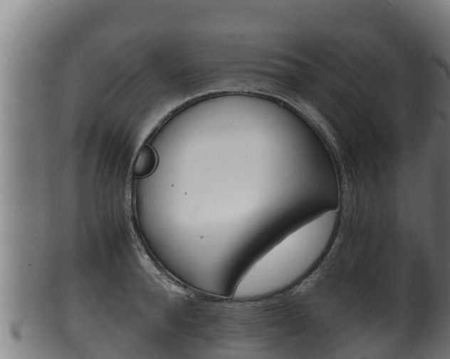 X0000100380896200806060823
