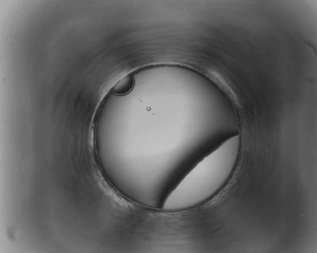 X0000100380900200806060823