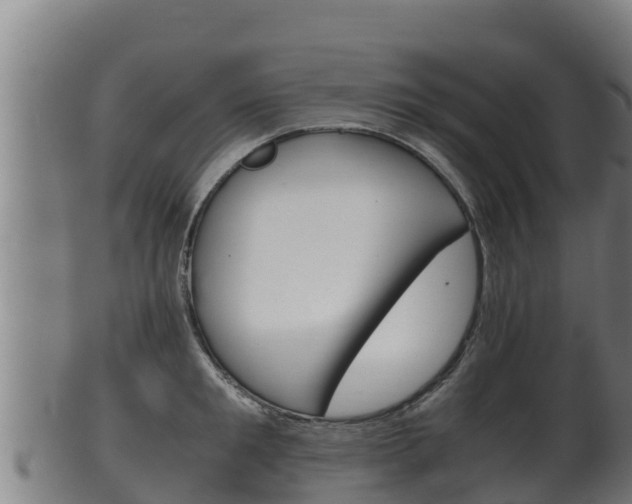 X0000100380901200806060823