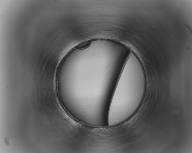X0000100380902200806060823