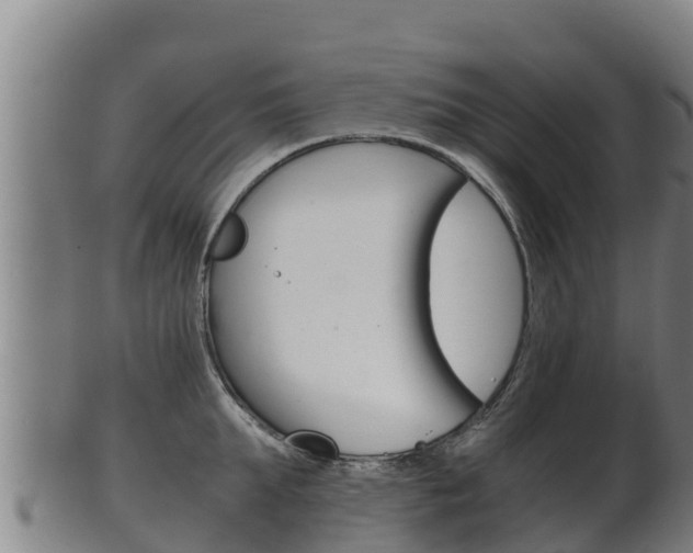 X0000100380903200806060823