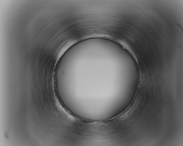 X0000100380906200806060823