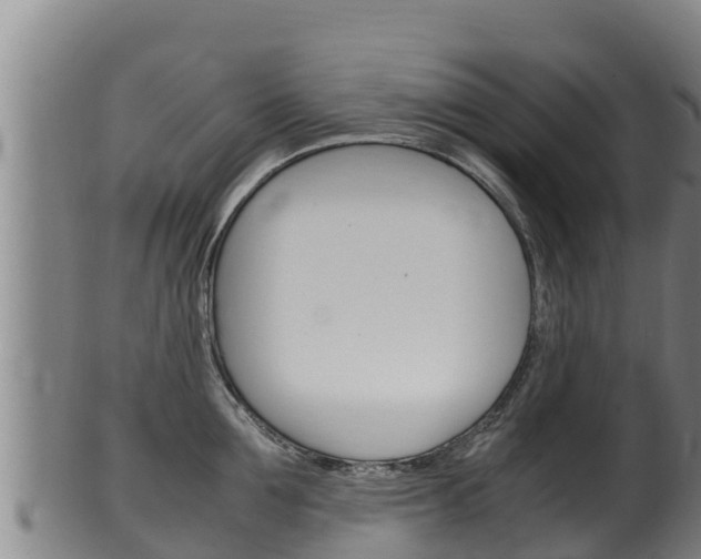X0000100380907200806060823