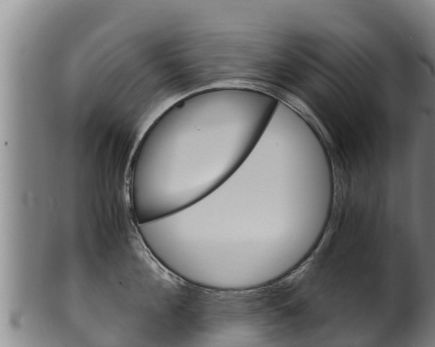 X0000100380908200806060823