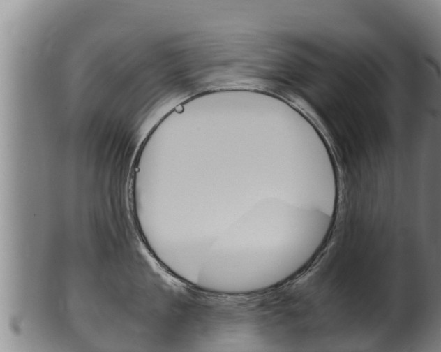 X0000100380909200806060823