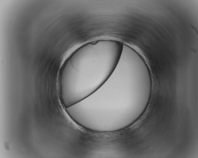 X0000100380910200806060823