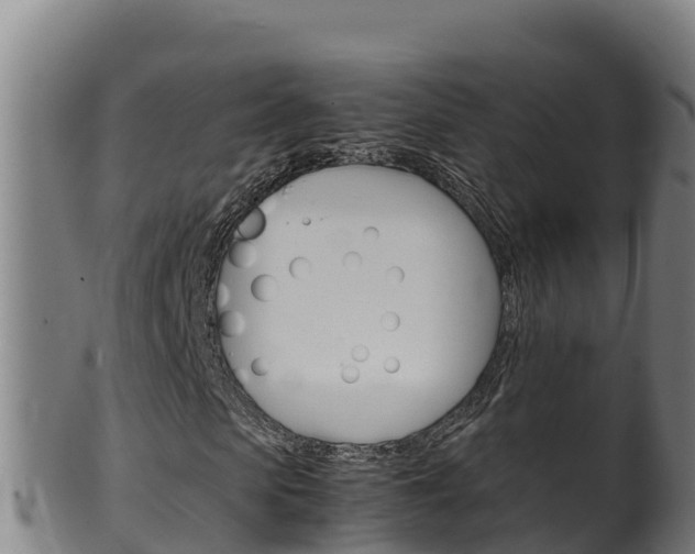 X0000100380913200806060822