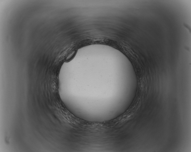 X0000100380916200806060822