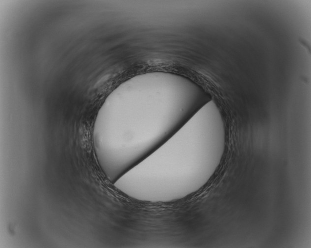 X0000100380917200806060822