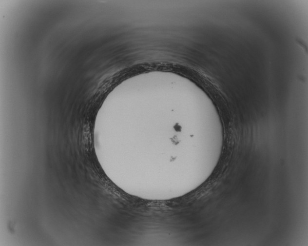X0000100380918200806060823