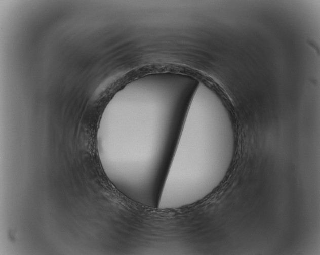 X0000100380919200806060823
