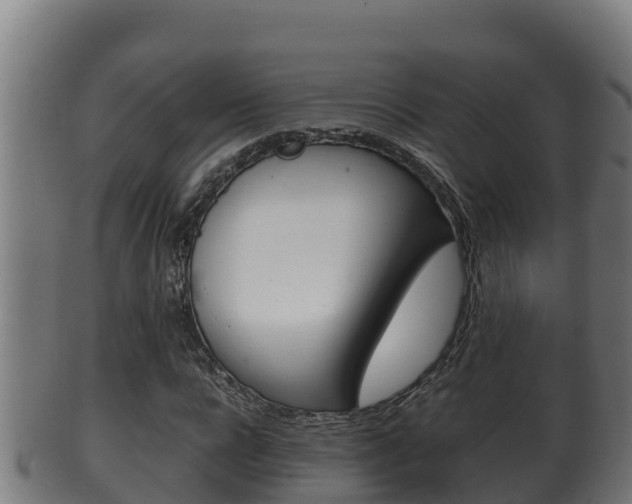 X0000100380920200806060823