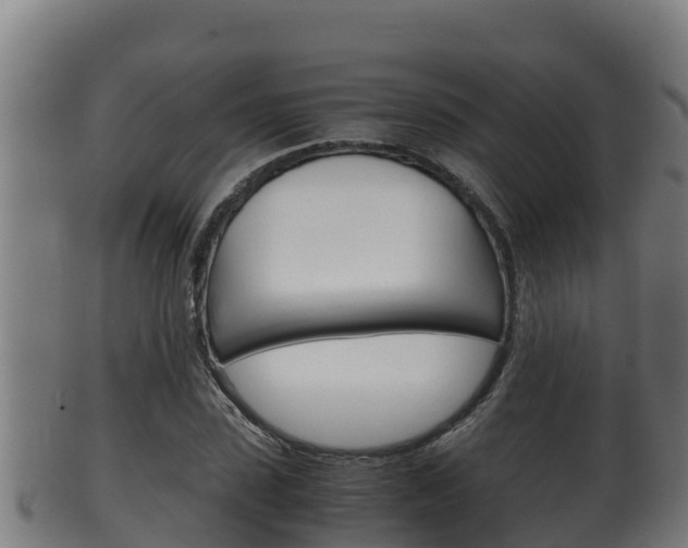 X0000100380923200806060823