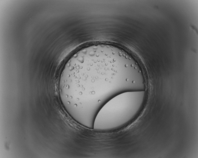 X0000100380925200806060823