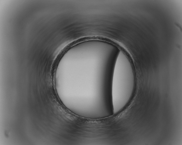 X0000100380927200806060823