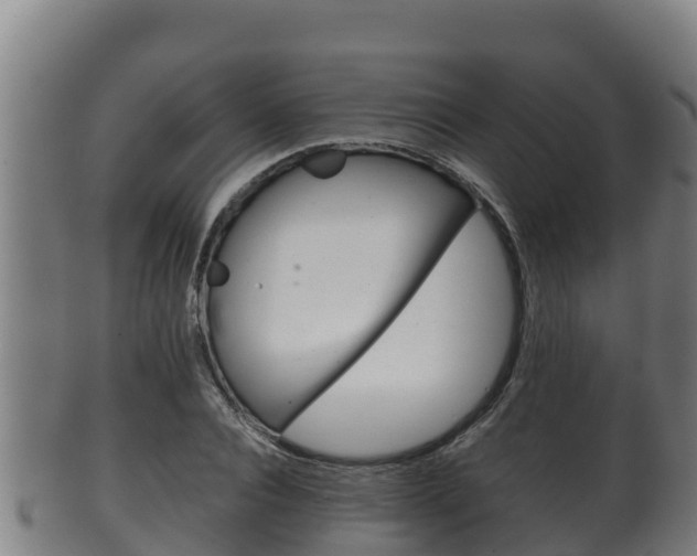 X0000100380928200806060823