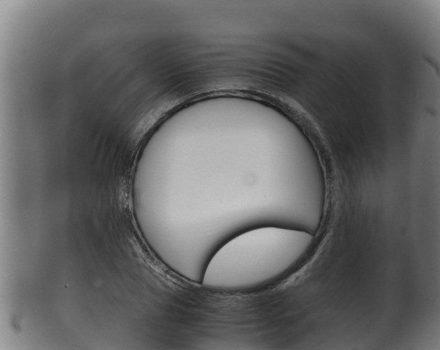 X0000100380929200806060823