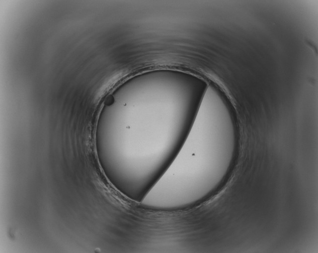 X0000100380930200806060823