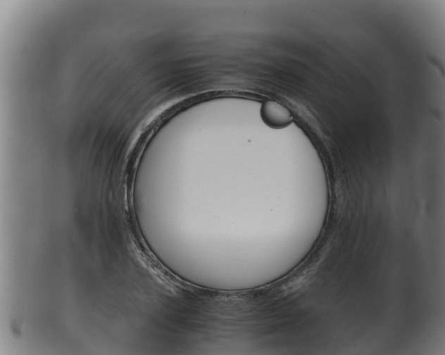 X0000100380931200806060823