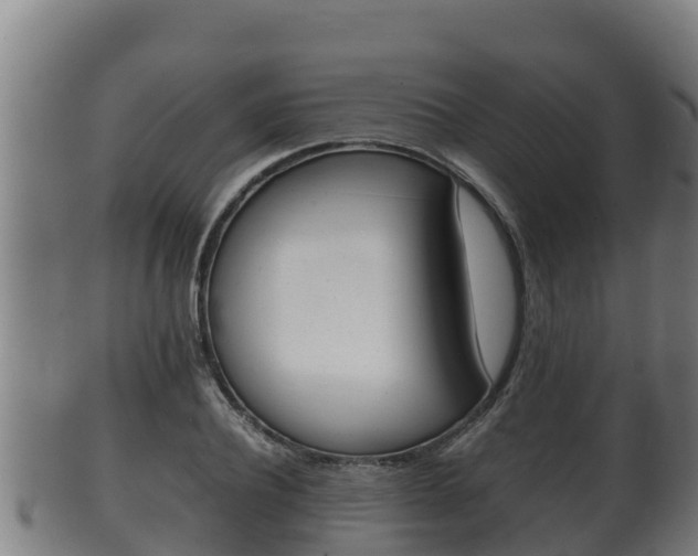 X0000100380932200806060823