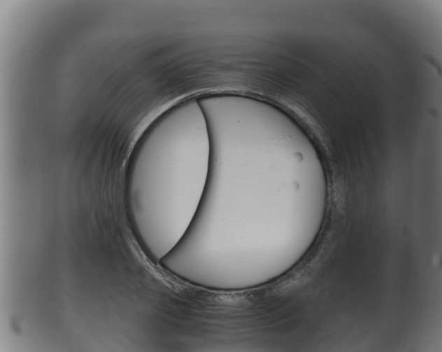 X0000100380933200806060823