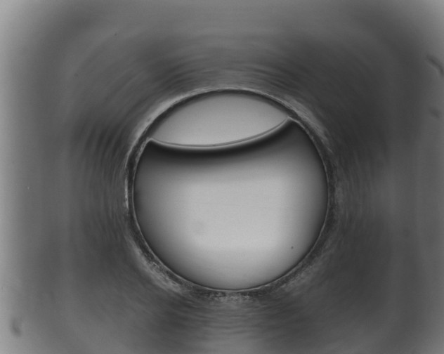 X0000100380934200806060823