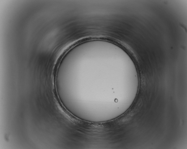 X0000100380935200806060823