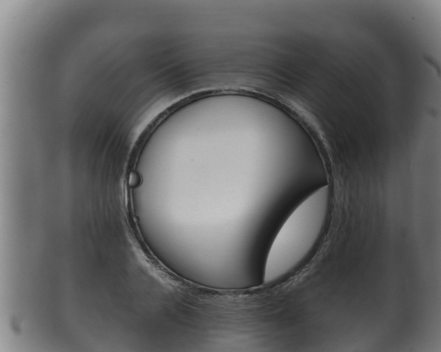 X0000100380936200806060823