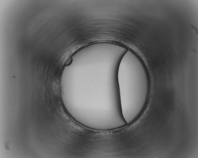 X0000100380937200806060823