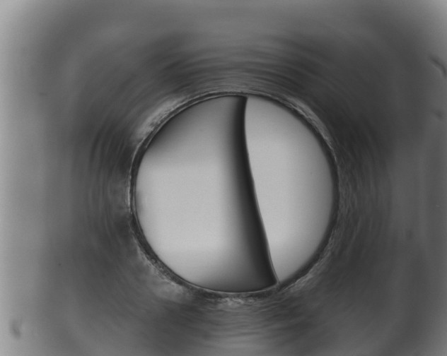 X0000100380938200806060823