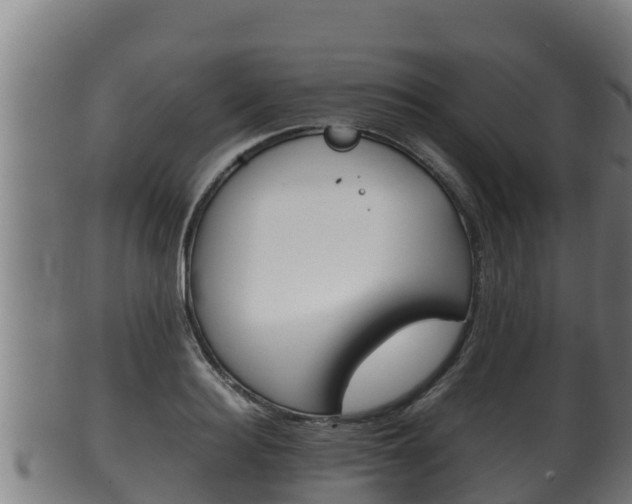 X0000100380940200806060823