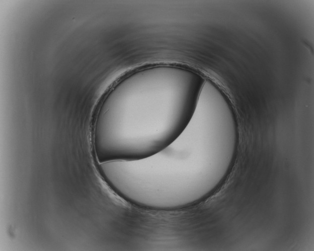 X0000100380942200806060823