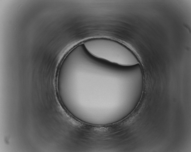 X0000100380943200806060823