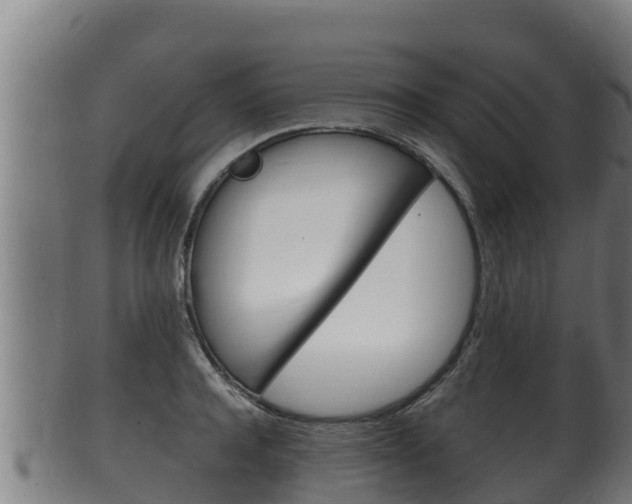 X0000100380944200806060823