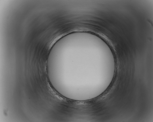 X0000100380945200806060823