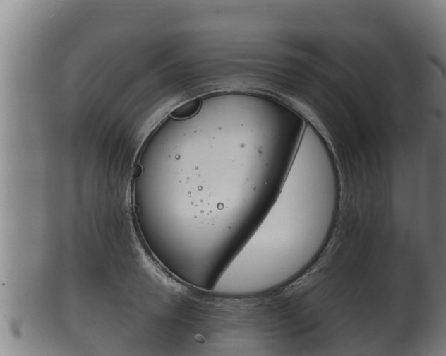 X0000100380946200806060823