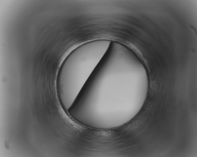 X0000100380947200806060823