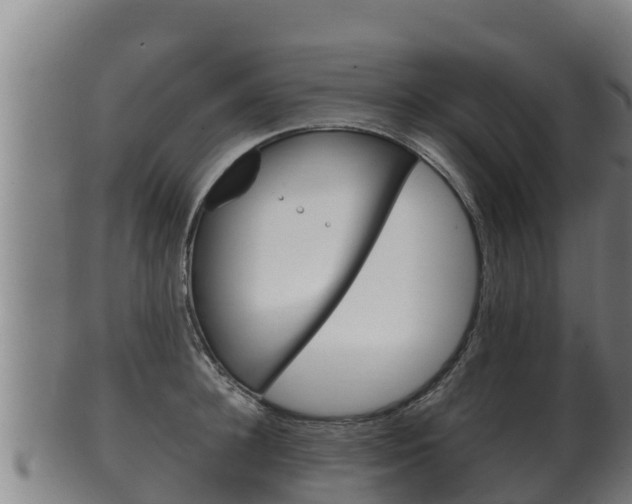 X0000100380948200806060823