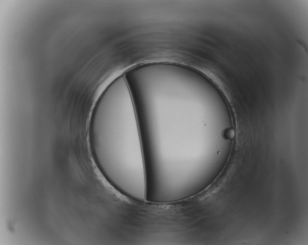 X0000100380949200806060823