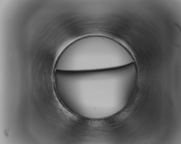 X0000100380951200806060823