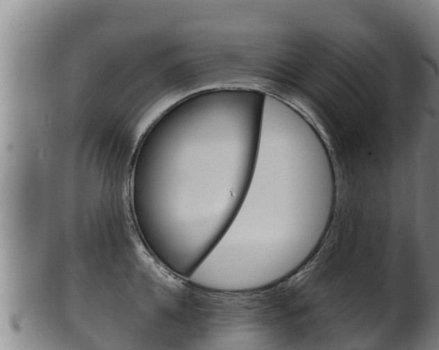 X0000100380952200806060823