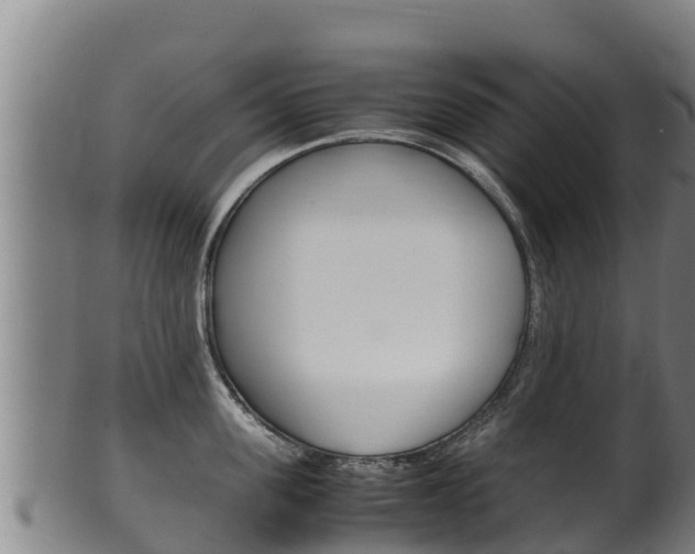 X0000100380955200806060823