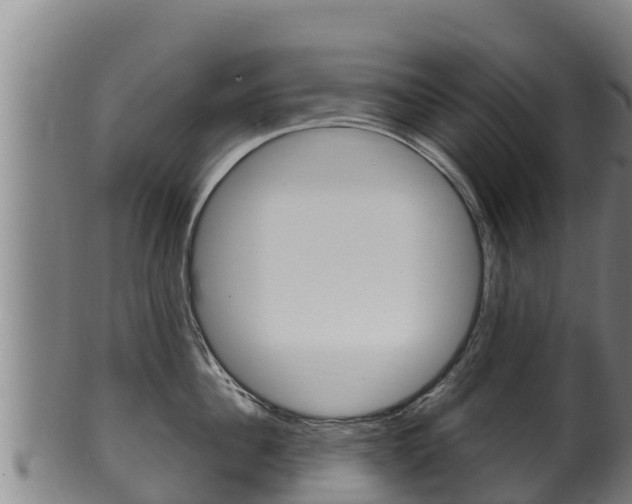 X0000100380956200806060823